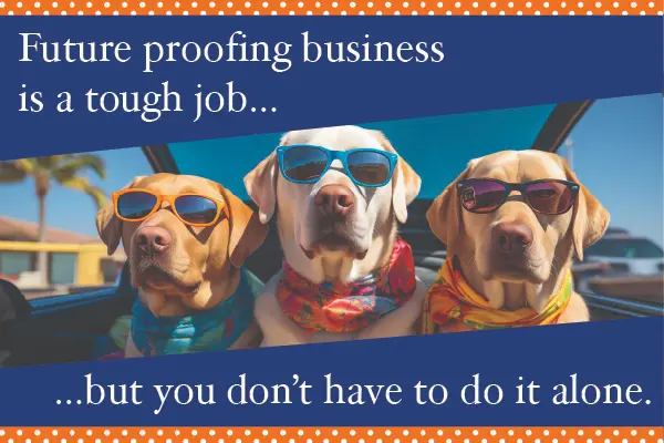 Three dogs wearing sunglasses with colorful ascots around their necks looking into the camera.